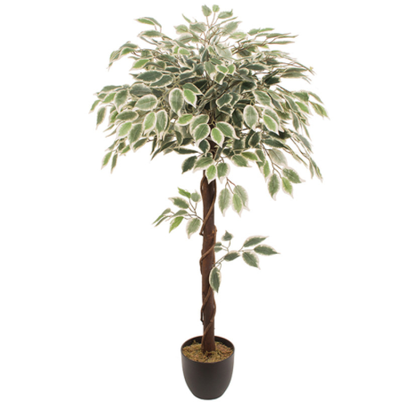 Kunsttaim FICUS 1.20m